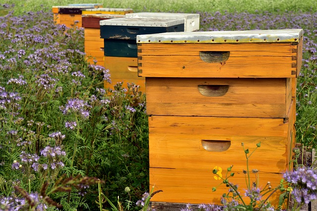 मधुमक्खी पालन से शहद एवं मोम के अतिरिक्त कुछ अन्य पदार्थ, जैसे:-गोंद (प्रोपोलिस, रायल जेली, डंक-विष) भी प्राप्त किए जाते है। 