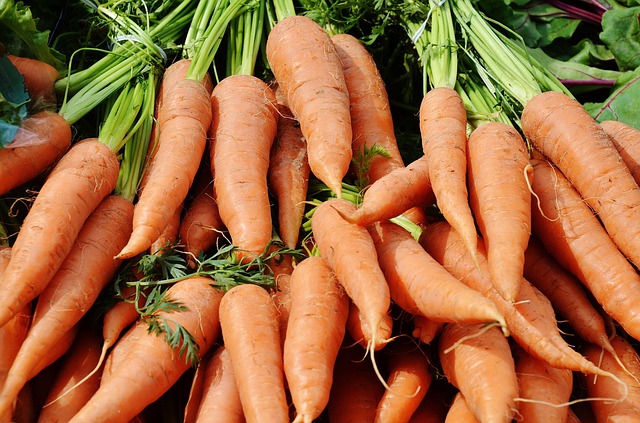 गाजर एक अत्यंत महत्वपूर्ण एवं औषधीय गुणों से भरपूर जड़वाली सब्जी की फ़सल है। गाजर की खेती भारत के सभी राज्यों में की जाती है। इसको कच्चा एवं पकाकर दोनों ही रूप में प्रयोग में लिया जाता है।